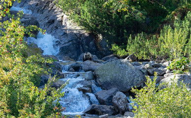 Brown bear in a mountain stream. Roztoka Valley. Tatra Mountains.