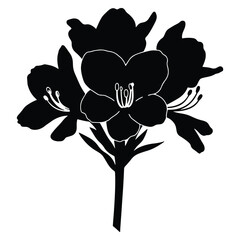 Elegant Black and White Rhododendron Flower Silhouette Botanical Illustration Design