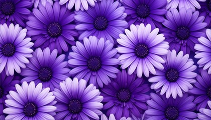 A vibrant floral pattern of purple and white daisies