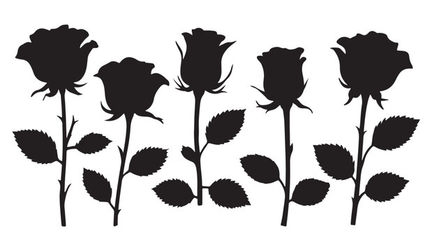  black and white silhouette vector set of roses flower