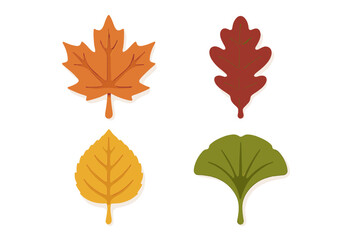 Diverse autumn leaves collection with maple, oak, ginkgo, and broadleaf shapes in warm seasonal colors