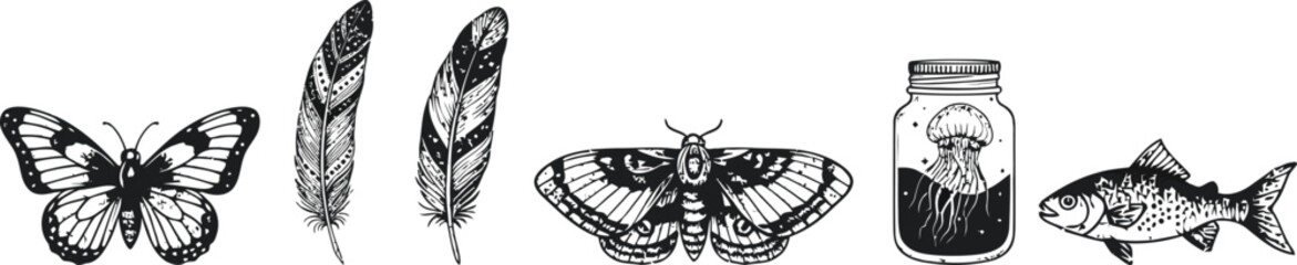 Black and White Nature Illustrations Vintage Inspired Entomology and Aquatic Life Collection for Art and Design Projects