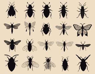 insects silhouettes in black on a beige background
