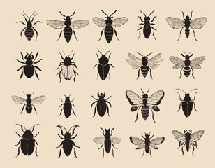 insects silhouettes in black on a beige background