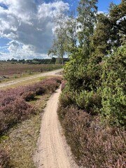 MTB track Lemelerberg in Overijssel