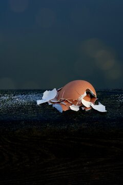 Cracked egg shell on a dark surface with a blue background.