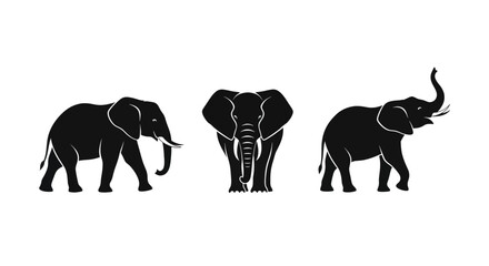 Fototapeta premium Three elegant elephant silhouettes showcasing their majestic forms and iconic trunks.