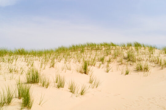 Rolling sand dunes with sparse green grass under a clear blue sky. North Sea, Germany