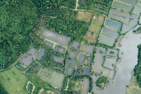 Aerial view of lush green fields and ponds, arranged in a mosaic-like landscape. Aceh Jaya Regency, Aceh, Sumatra, Indonesia