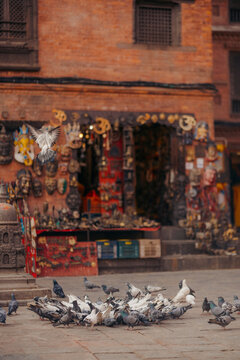 Pigeons gather in front of a rustic shop with colorful masks and trinkets displayed outside. Monkey Temple, Kathmandu, Nepal