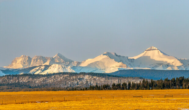 Snow-covered mountain range with yellow foreground under a clear blue sky. Alberta, Canada