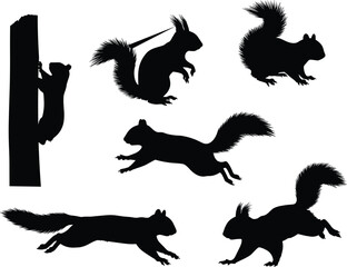 Silhouette vector set of squirrels climbing, jumping, running, sitting, black wildlife rodent animal illustrations for design, decoration, nature, graphic