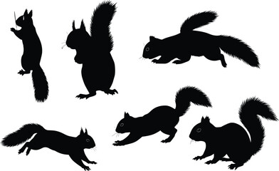 Silhouette vector set of squirrels in different poses, running, climbing, sitting, jumping, black wildlife animal shapes for design, illustration