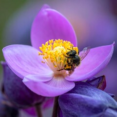Vibrant bee on a purple flower