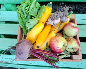 A wooden crate filled with autumn garden produce: apples, zucchinis, red beets, garlic resting in the crate. The colors are warm — reds, greens, earthy tones.