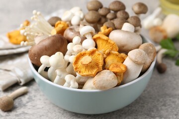 Different raw mushrooms in bowl on grey textured table, closeup