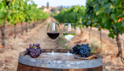 Italian vineyard wine tasting setup with glasses of red and white wine, grapes, and rustic barrel table