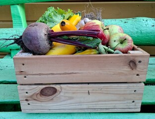 A wooden crate filled with autumn garden produce: apples, zucchinis, red beets, garlic resting in the crate. The colors are warm — reds, greens, earthy tones — and the wood of the crate has a rustic.