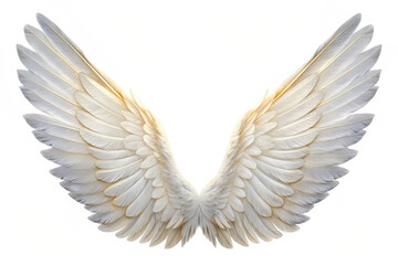 Obraz premium Elegant white angel wings with soft feathers spread symmetrically on white background