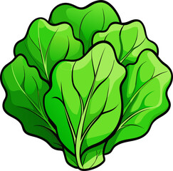 Collard Greens Vector Illustration | Fresh Leafy Vegetable Graphic Design