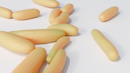 A 3d rendering of Komagataeibacter hansenii, a type of acetic acid bacteria. These bacteria have ability to produce bacterial cellulose for biopolymer.