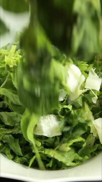 Preparing Fresh Green Salad in Large Bowl