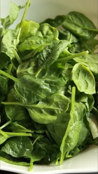 Preparing Fresh Green Salad in Large Bowl