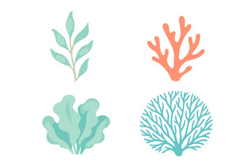 Obraz premium Vibrant collection of stylized aquatic plants and diverse marine coral reef elements for ocean-themed designs and decorations