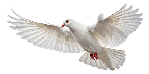 Fototapeta premium Dove PNG – Realistic Flying White Dove on Transparent Background