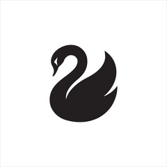 black swan vector