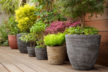 Fototapeta premium Row of potted plants are lined up on a wooden deck