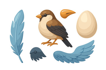Fototapeta premium Adorable cartoon sparrow bird with individual feather, beak, wing, and egg components on a clean white background