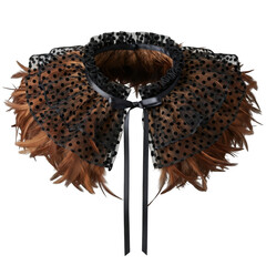 Ornate collar with feathers and studs isolated on transparent background