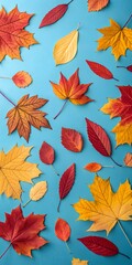 autumn leaves background