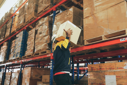 Male workers strength lift heavy boxes merchandise on their shoulders move them  distant shelves and risk injury or accidents from repeatedly lifting heavy items without weight lifting equipment.