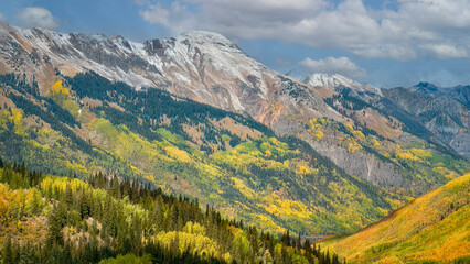 Brushstrokes of Autumn