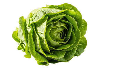 Fototapeta premium Closeup of a fresh, vibrant green butter lettuce head isolated on transparent background, showcasing its crisp leaves and healthy appearance