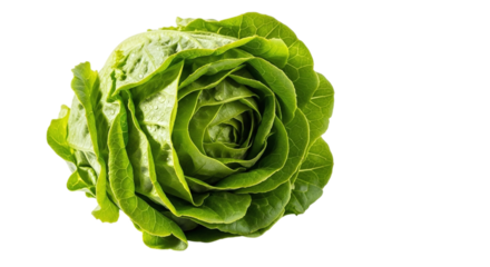 Closeup of a fresh, vibrant green butter lettuce head isolated on transparent background, showcasing its crisp leaves and healthy appearance