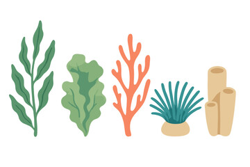 Obraz premium Diverse collection of colorful underwater plants, seaweeds, and coral reef elements isolated on a clean white background