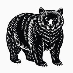 bear vector illustration