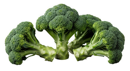 Broccoli florets isolated on transparent background