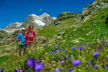 Hiker pair trekking on alpine trail in Bernina Alps Lombardy Italy