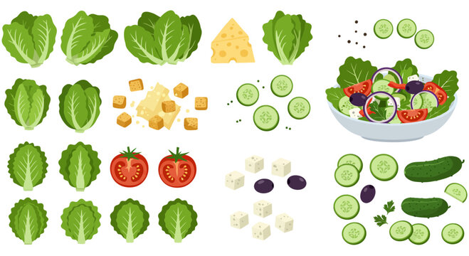 A collection of salad ingredients and a prepared salad in a bowl