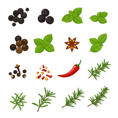 A grid illustration of various whole and ground spices and herbs
