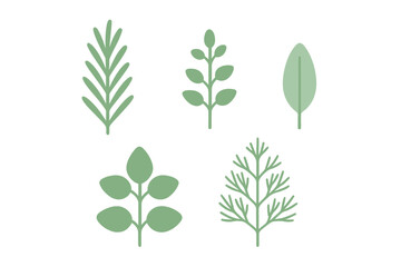 Fototapeta premium Botanical collection of diverse green plant leaves and branches featuring a minimalist flat design aesthetic