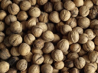 background of walnuts