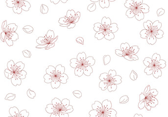 Fototapeta premium Delicate Cherry Blossom Flowers Pattern.