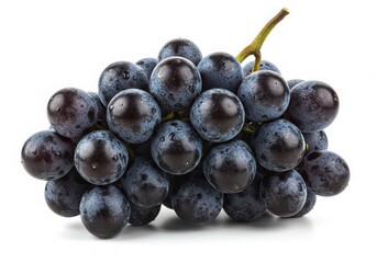 Bunch of dark grapes isolated on white background