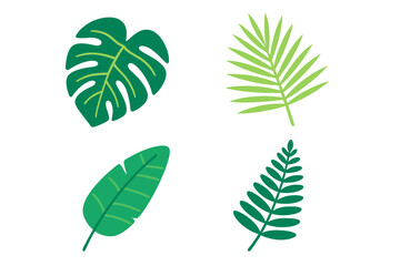 Various green tropical leaves displayed in a simple layout showcasing their unique shapes and patterns