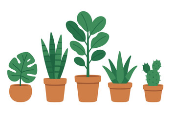 Set of five potted plants arranged in a row with different shapes and sizes on a white background